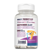 Пробіотики для дітей, Dino-Dophilus™ Kids Probiotic - 60 chewables Black Cherry