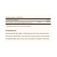 Вітамін Б6, Vitamin B6 25mg - 100 tabs