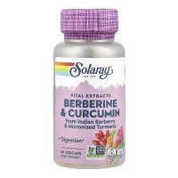 Berberine & Curcumin 600mg - 60 vcaps