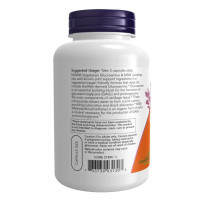 Вегетеріанський глюкозамін та МСМ, Veg Glucosamin & MSM 500/500 - 240 vcaps