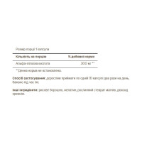 Alpha Lipoic Acid 300mg - 60 caps