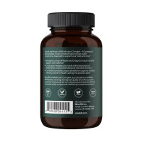 Комплекс 4 грибів, 4Mushroom Complex 1000 mg - 60 vegcaps