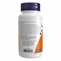 Л Карнітин, L-Carnitine 250mg - 60 vcaps