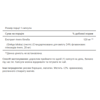 Гінкго Білоба, Ginkgo Biloba Standardized Extract 120mg - 100caps