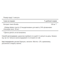 Гінкго Білоба, Ginkgo Biloba Standardized Extract 120mg - 200caps