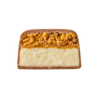 Space Bite - 10x45g Coconut Mango
