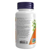 Гінкго Білоба, Ginkgo Biloba 60mg - 240 vcaps