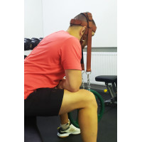 Упряж EasyFit BISON коричнева (шкіра)