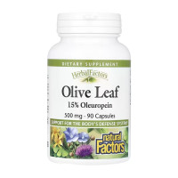 Olive Leaf 500mg - 90 caps