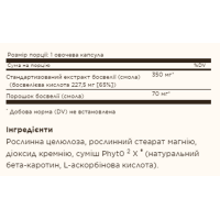 Екстракт Смоли Босвелії, SFP Boswellia Resin Extract - 60 vcaps
