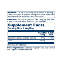 Холін Інозитол, Choline & Inositol - 100 vcaps