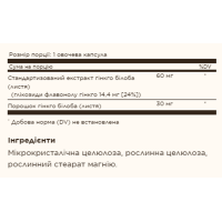 Гінко білоба, FP Super Ginkgo - 120 vcaps