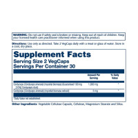 Кордицепс, Cordyceps Mushroom Extract 500mg - 60 vcaps