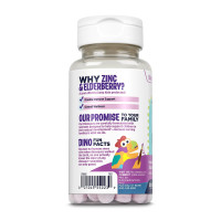 Цинк для дітей, Zinc Elderberry 5mg - 90 tabs Berry