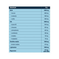 ICE Hydro Amino - 16g Frozen Orange Mango