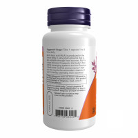 Альфа-ліпоєва кислота, Alpha Lipoic Acid 100mg - 60vcaps