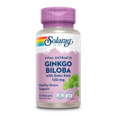 Екстракт Гінкго Білоба, Ginkgo Biloba Extract One 120mg - 30 vcaps