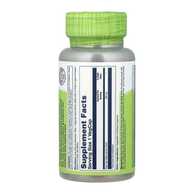 Плоди Шипшини, Rose Hips Fruit 550mg - 100 vcaps