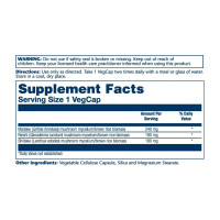 Грибний комплекс для імунітету, Mushroom Immune Complex 600mg - 100 vcaps