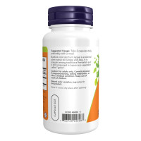 Корінь лопуха, Burdock Root 430mg - 100 vcaps