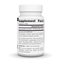 Acetyl L-Carnitine 500 mg - 30 tabs