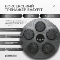 Боксерський тренажер EasyFit настінний  музичний з підсвіткою
