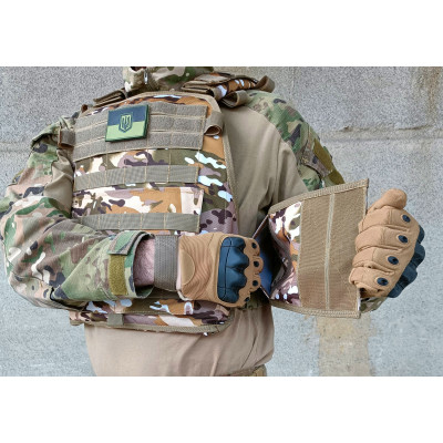 Плитоноска Pantsyr-2 (тактичний військовий жилет, бронежилет MOLLE) Multicam Arid