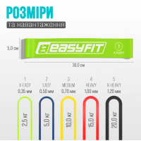 Комплект 1008. Спортивний рушник EasyFit RoyalWing 140х60 см з мікрофібри з чохлом + М'яч для фітнеса EasyFit 75 см фіолетовий + Пляшка для води EasyFit CHFe 1000 мл синя або зелена + Гумові кільця для фітнесу EasyFit набір 5 шт